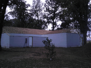 Outside View after Set Trusses